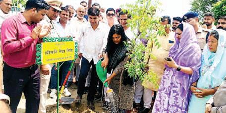 Make environment safe by planting trees under Ek Ped Maa Ke Naam campaign: DC