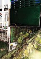 Vehicle with HP number plate seized while dumping garbage