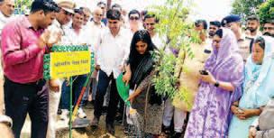 Make environment safe by planting trees under Ek Ped Maa Ke Naam campaign: DC