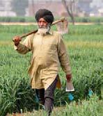 Punjab: AAP govt withdraws land pooling policy