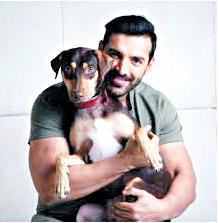 John Abraham writes to CJI, calls for review of SC's directive on stray dogs