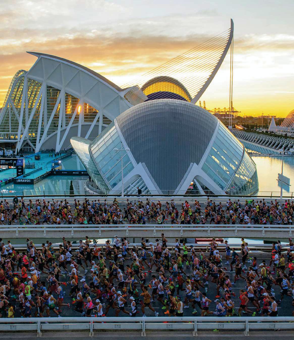 La maratón más rápida del mundo