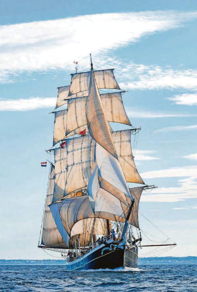 Crews buoyed by 'warm welcome' for regatta