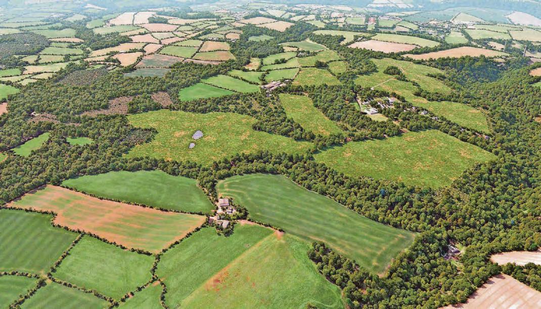 Farmland to get biodiversity boost as 200 acres become habitat bank