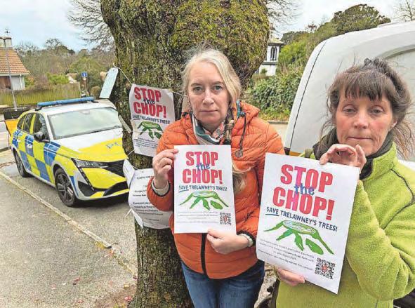 Tree campaigners prepare for more confrontation as council goes silent