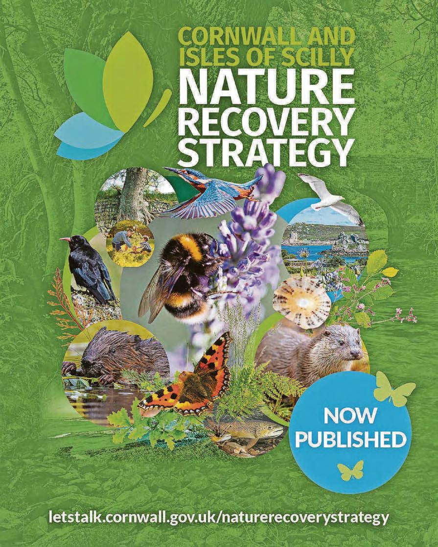 Collaborative effort brings together simple message: protecting nature is not enough