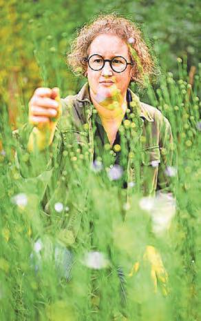 Unique art exhibition will showcase glorious beauty of the natural world