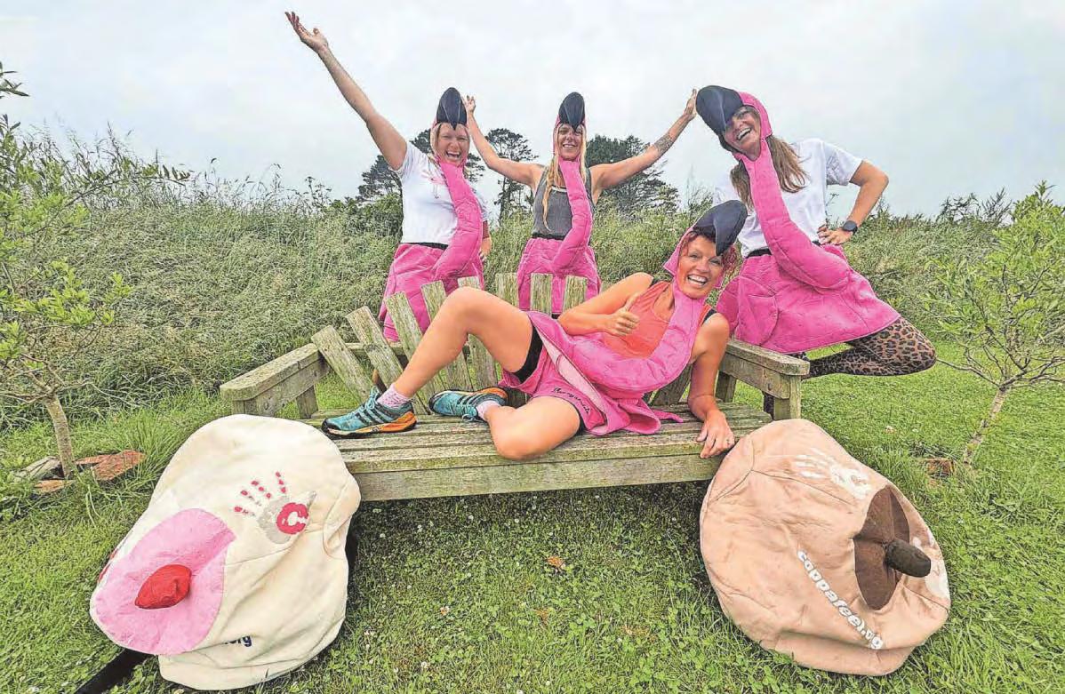 Birds of a feather flock together in coast-to-coast world record attempt