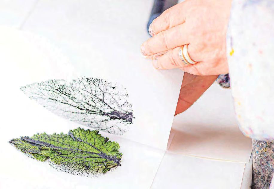 Creative workshops mark Trelissick's anniversary