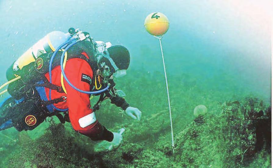 Inquiry launched after historic shipwreck damaged