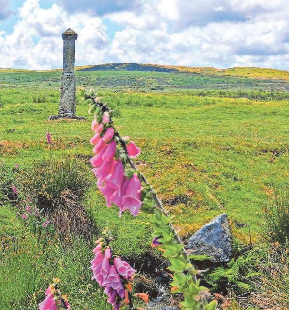 Cornwall caught on camera by our talented readers