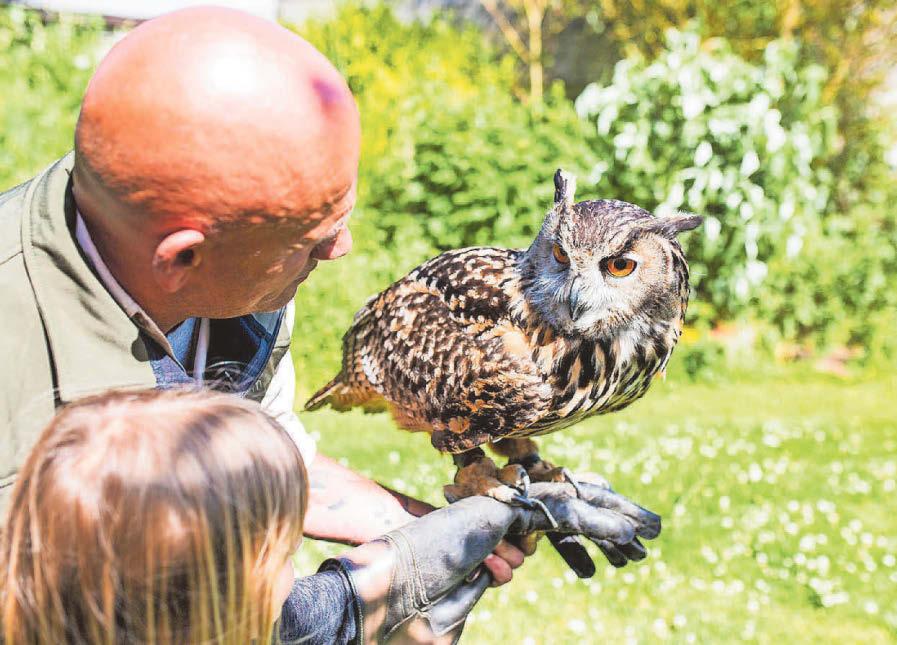 Wildlife attraction confirms it is closing its doors for good