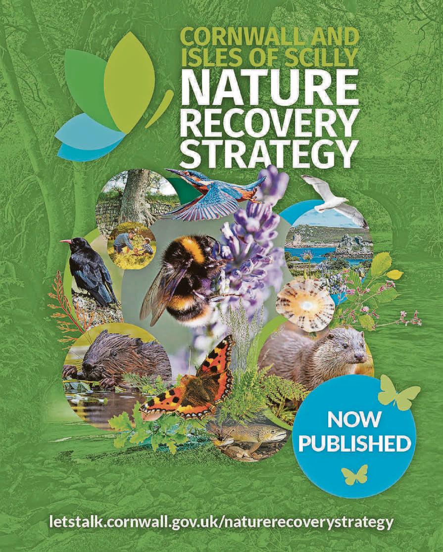 Collaborative effort brings together simple message: protecting nature is not enough