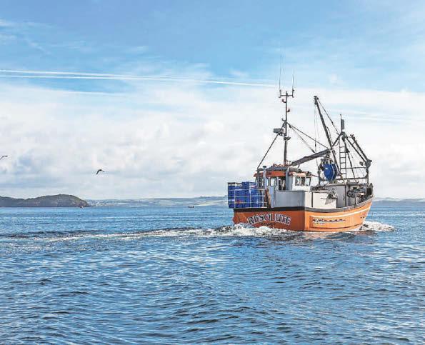 Oldest fishing business is bought by Falklands firm