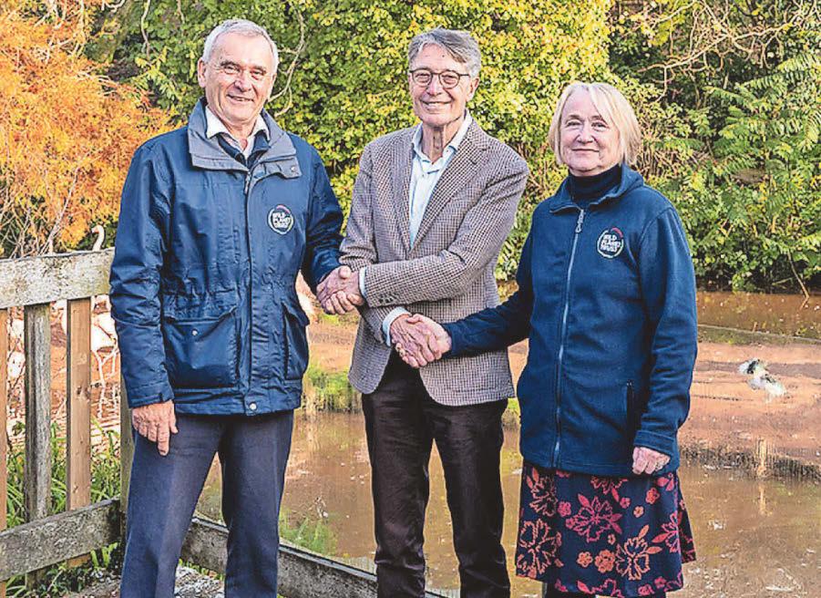 Dutch company plans new savannah with giraffes after taking over zoo