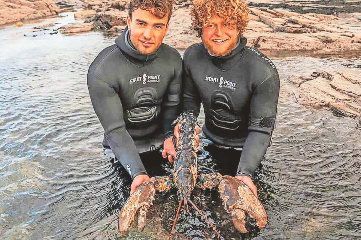 Brothers spot giant lobster bigger than two newborn babies off coast