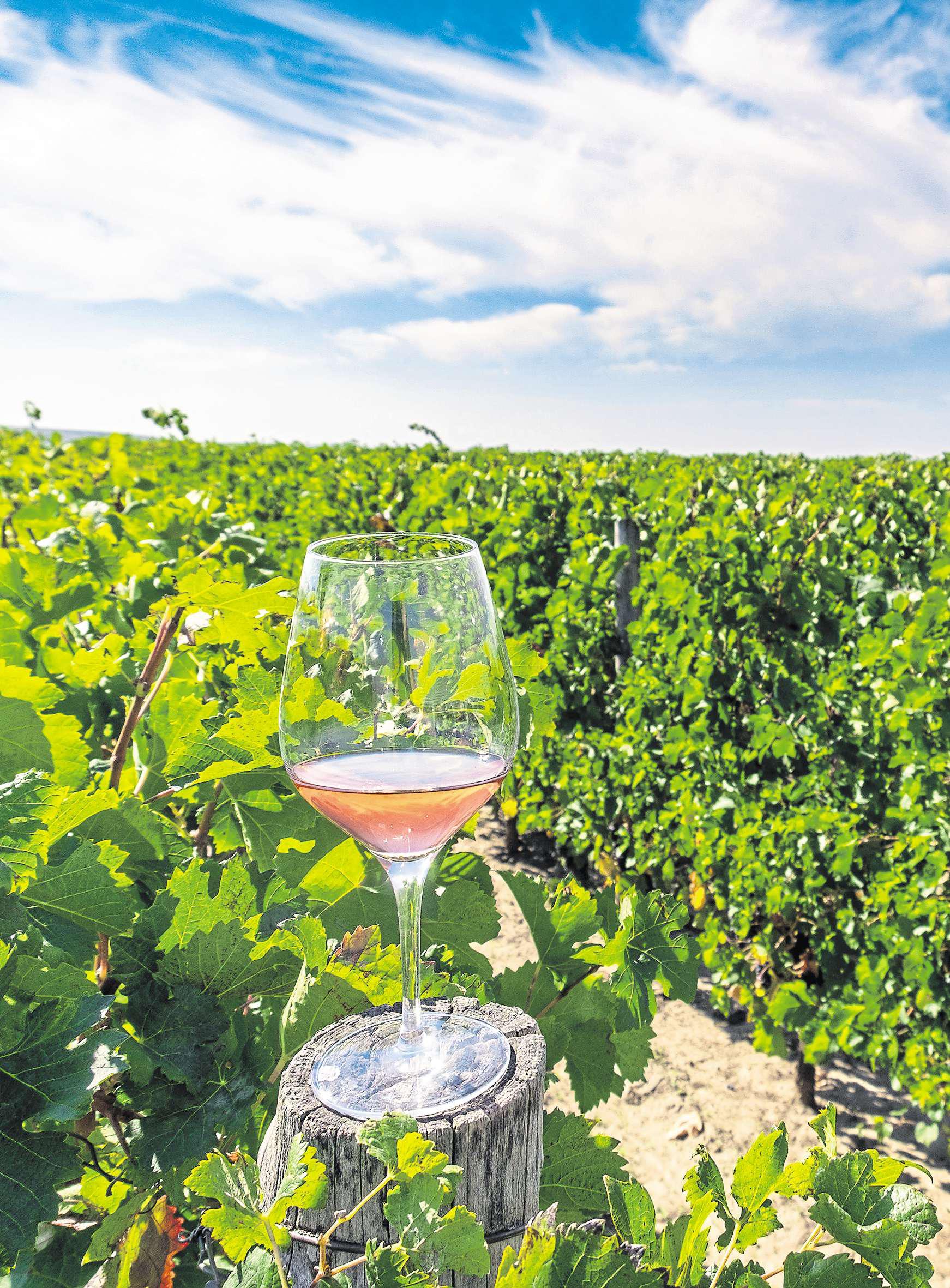 Raising a glass for Earth Day