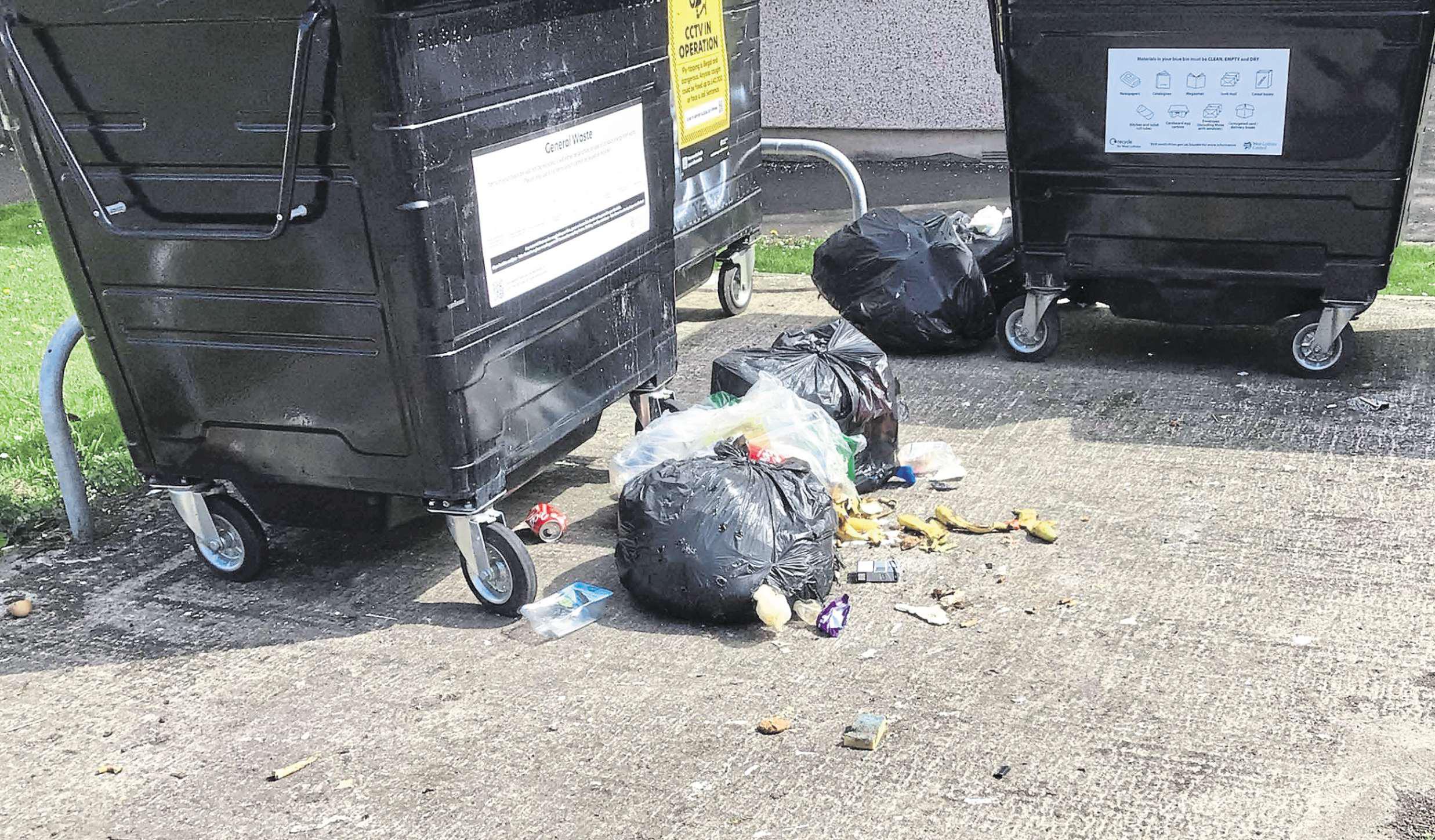 Increase in fly-tipping and dumped rubbish causing boom in rat sightings