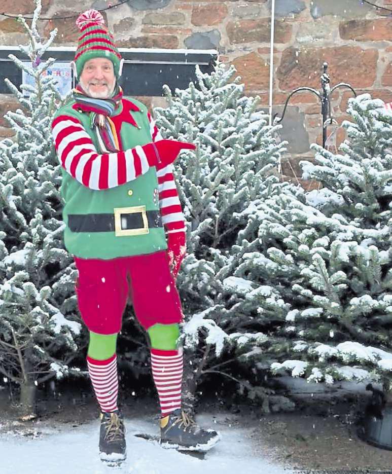 Renting trees becoming more popular to cut waste