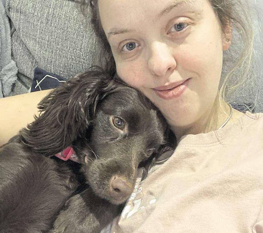 'All it would take is a £10 leash to save all of this heartbreak'