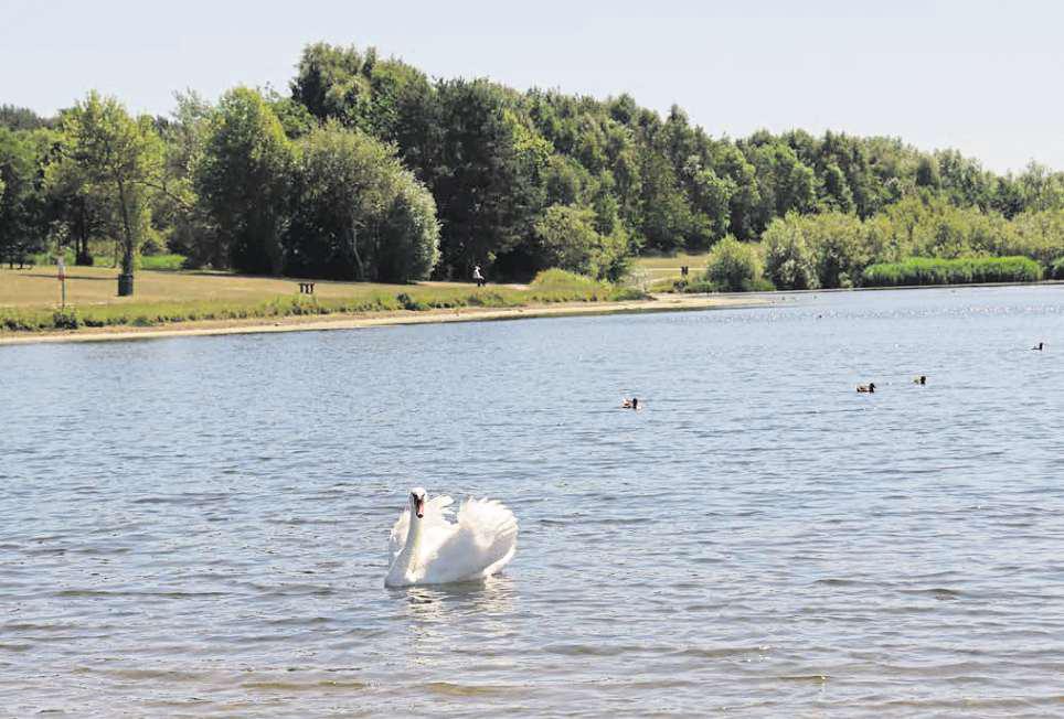 Five parks fly the flag for quality in awards for UK's best green spaces