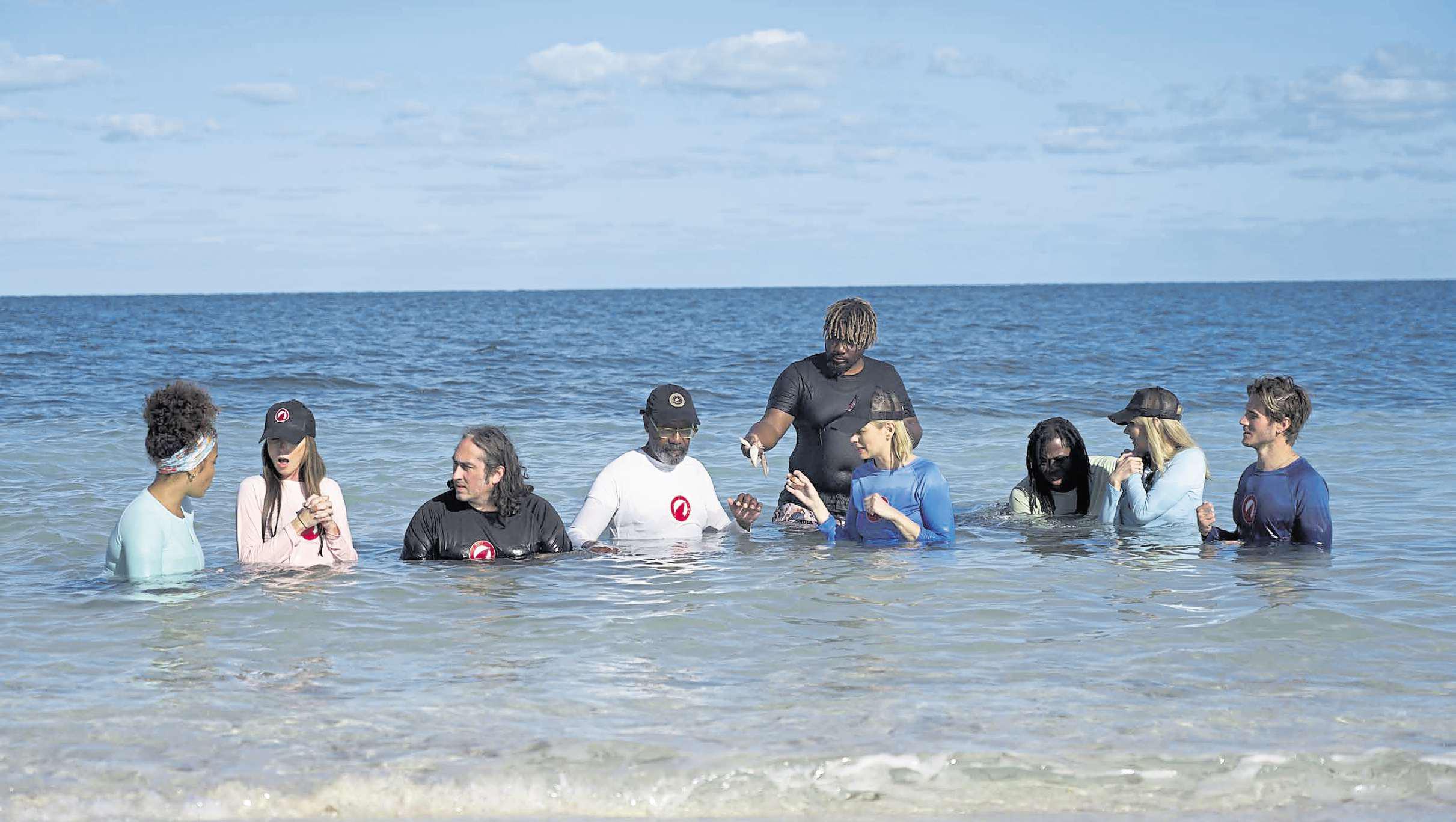 Fins can only get better as Jaws meets some real drama queens
