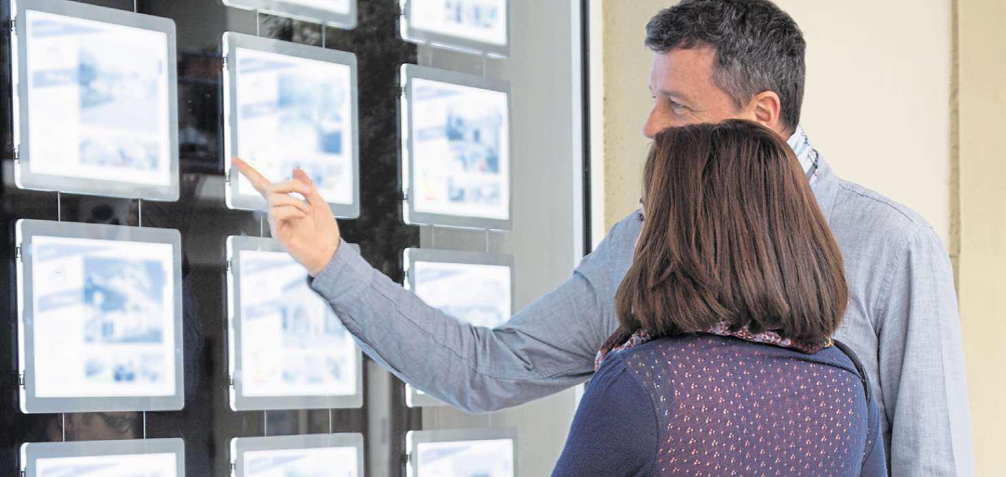 Buyers spoiled for choice