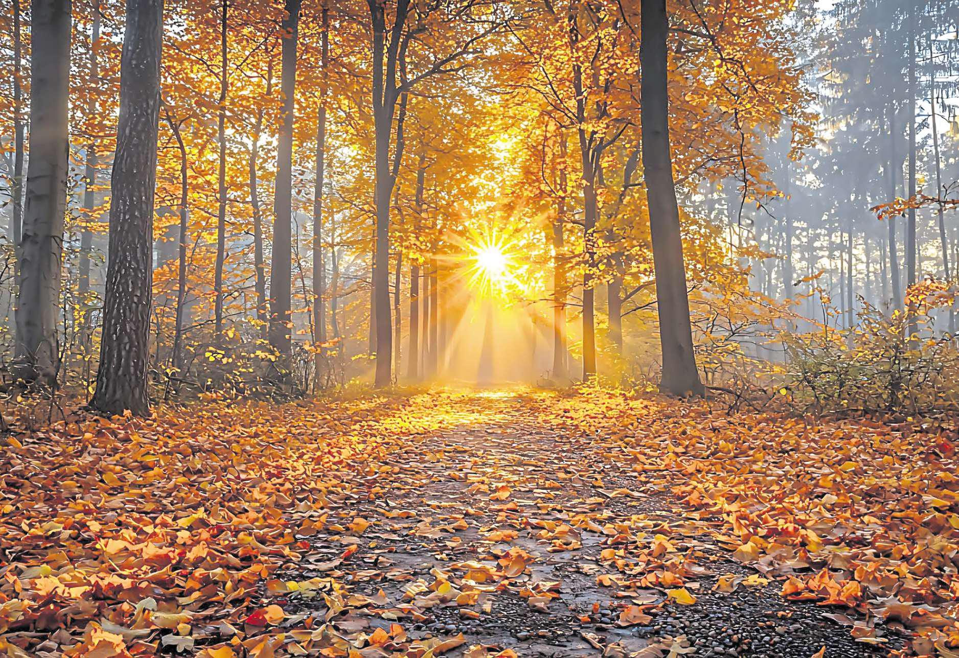 Autumn is now a three-month preparation for Christmas...