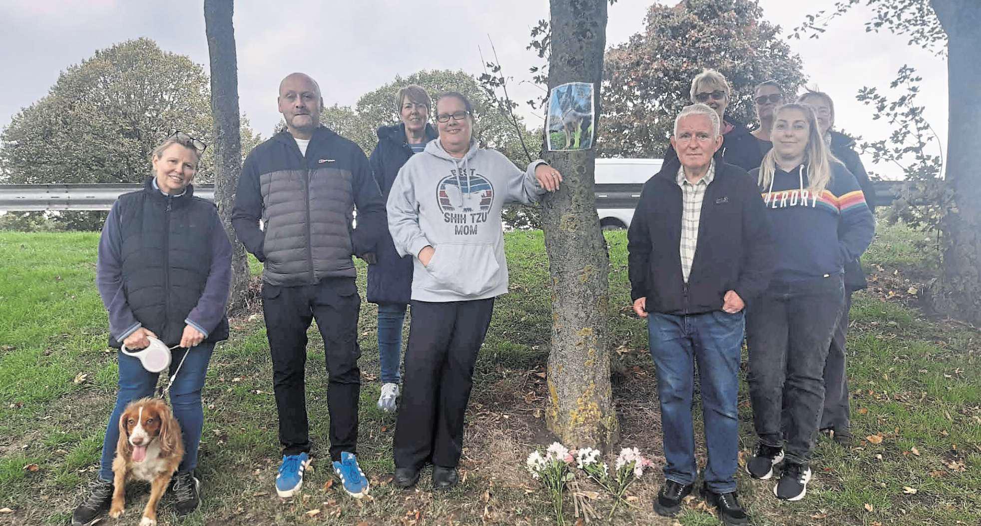 Buddy the 'Roundabout Dog' given memorial plaque at his chill-out tree