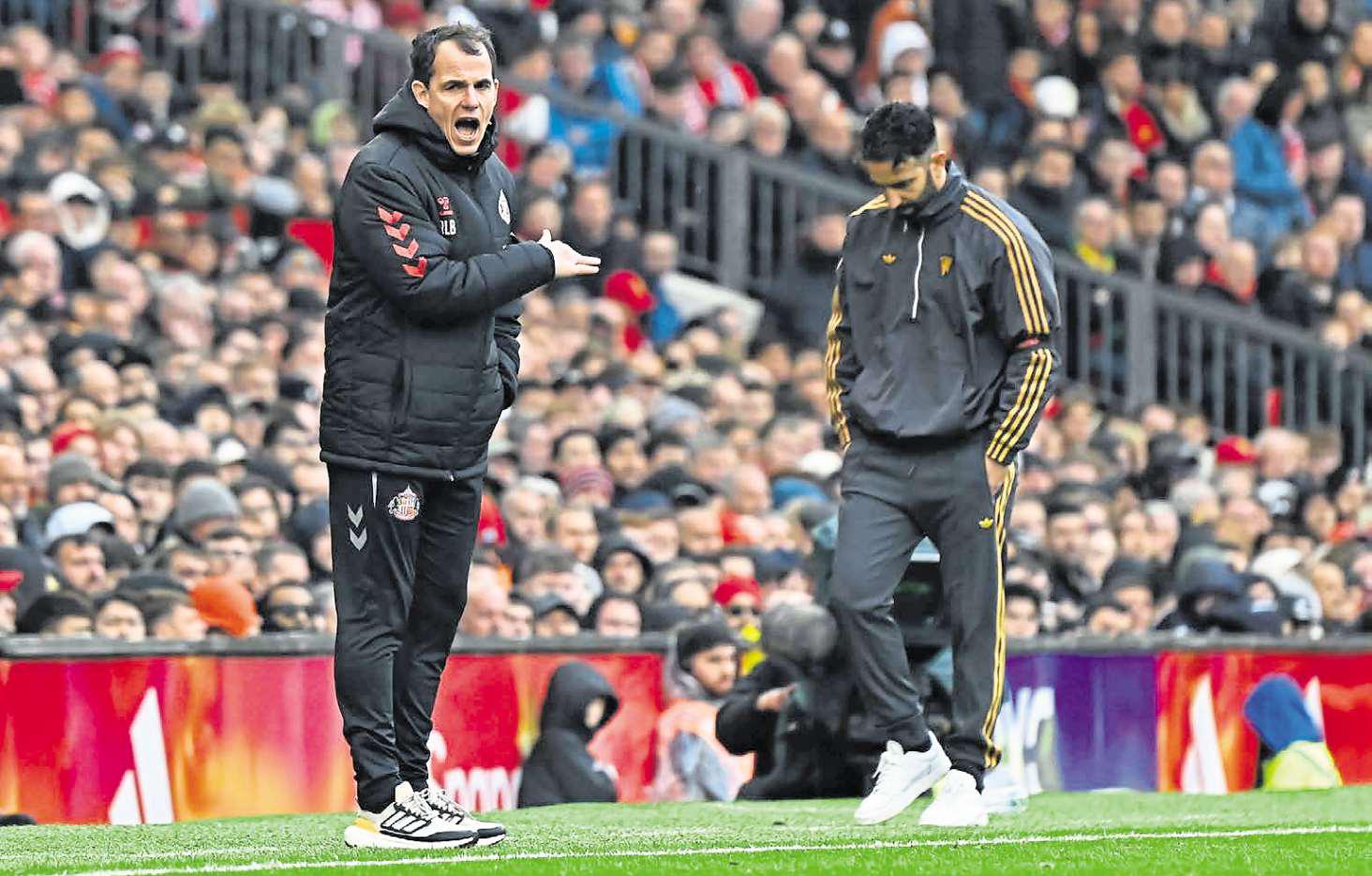 Disappointed Cats boss admits to lessons learned