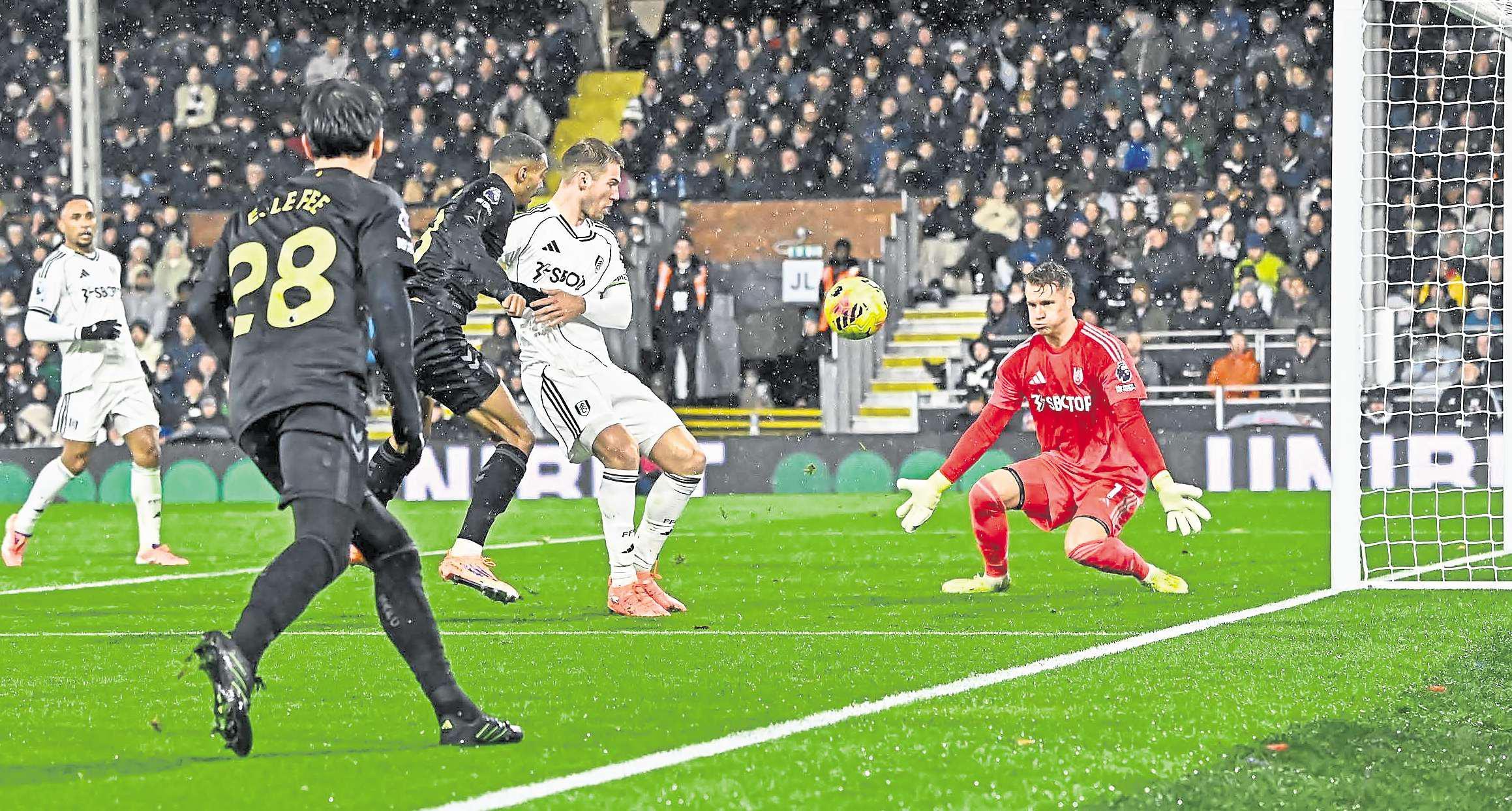 Le Bris addresses Cats formation debate and delivers clear message