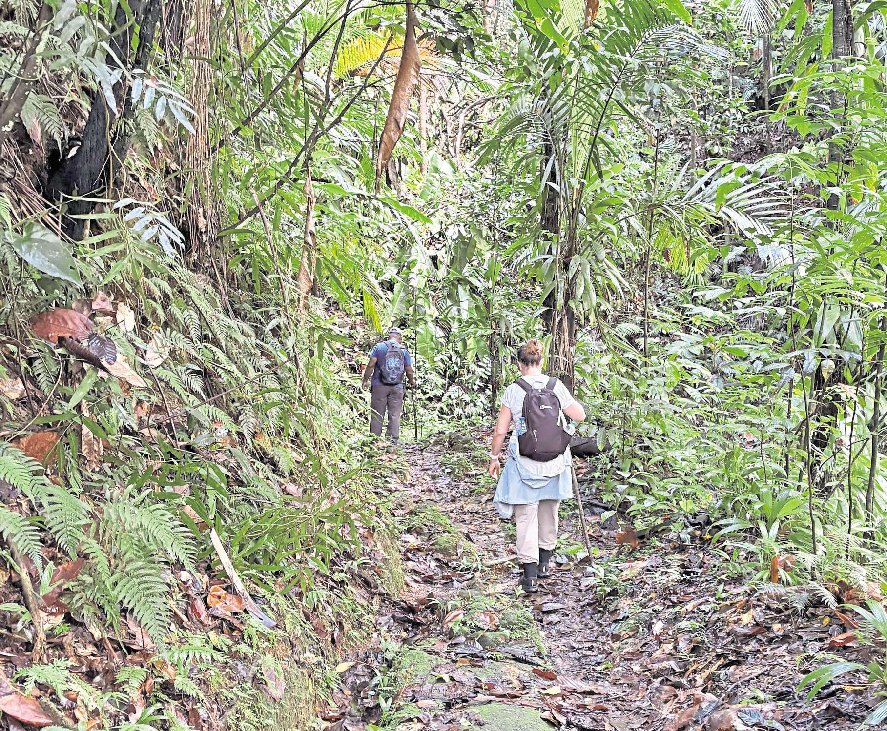 On the trail of St Lucia's 'small six' rare and endangered species