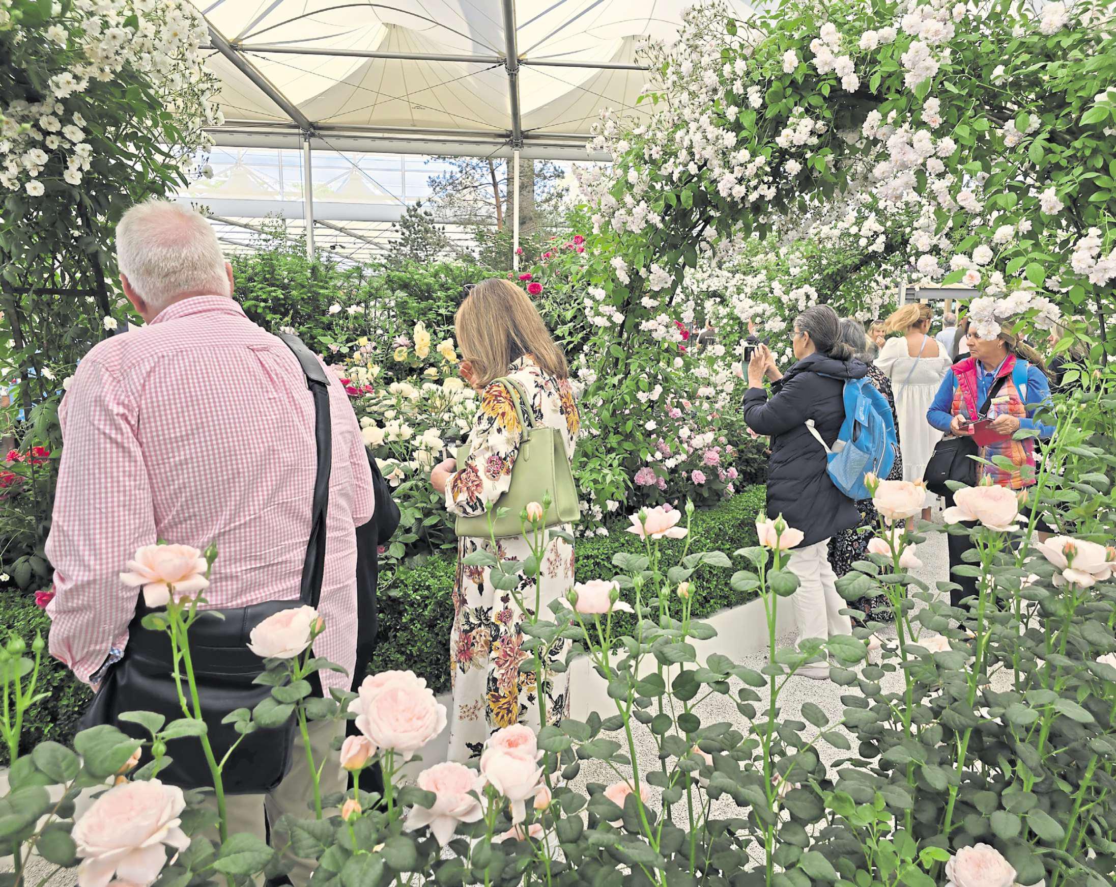 Several routes to success in the garden