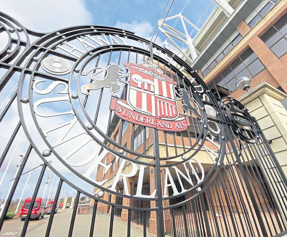 Cats announce appointments to board of directors
