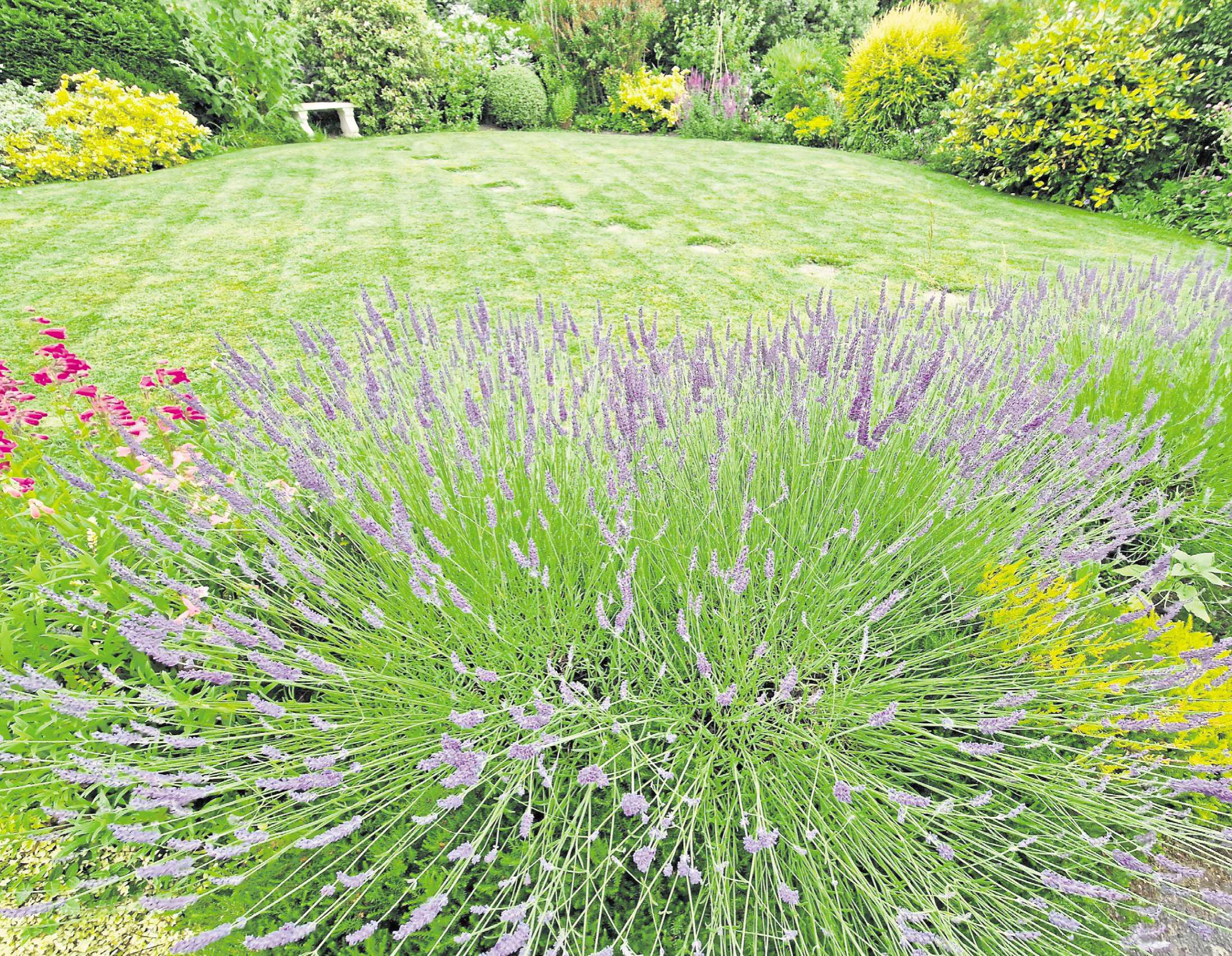 Pruning to be done as spring approaches