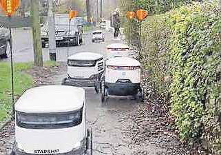 Council looking to expand pilot robotic delivery service