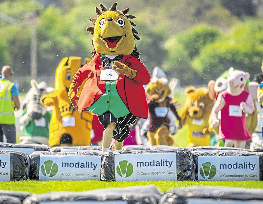 'Paws and applause' as mascots race to victory for Sue Ryder