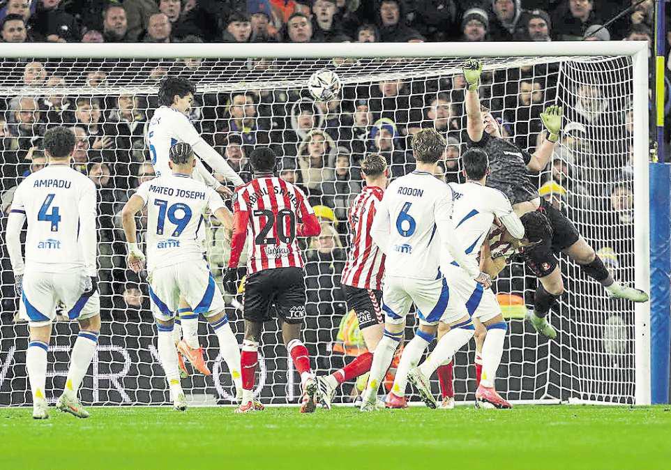 Subs Rothwell and Struijk combine to shock Black Cats