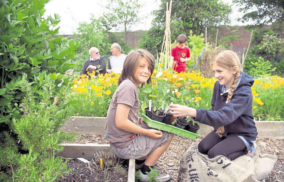 How to get kids engaged to help out in the garden