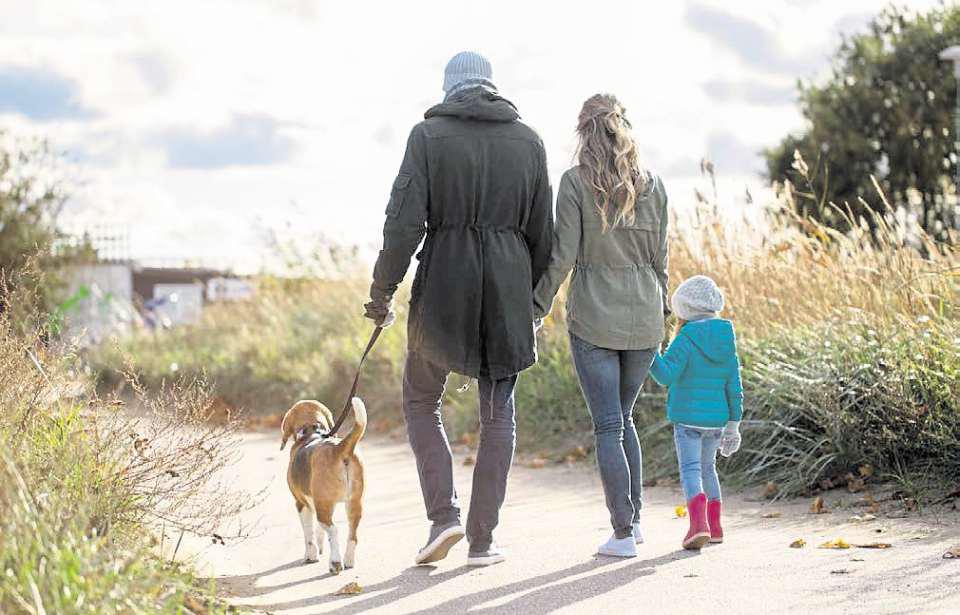 Young children can easily misread the family pooch