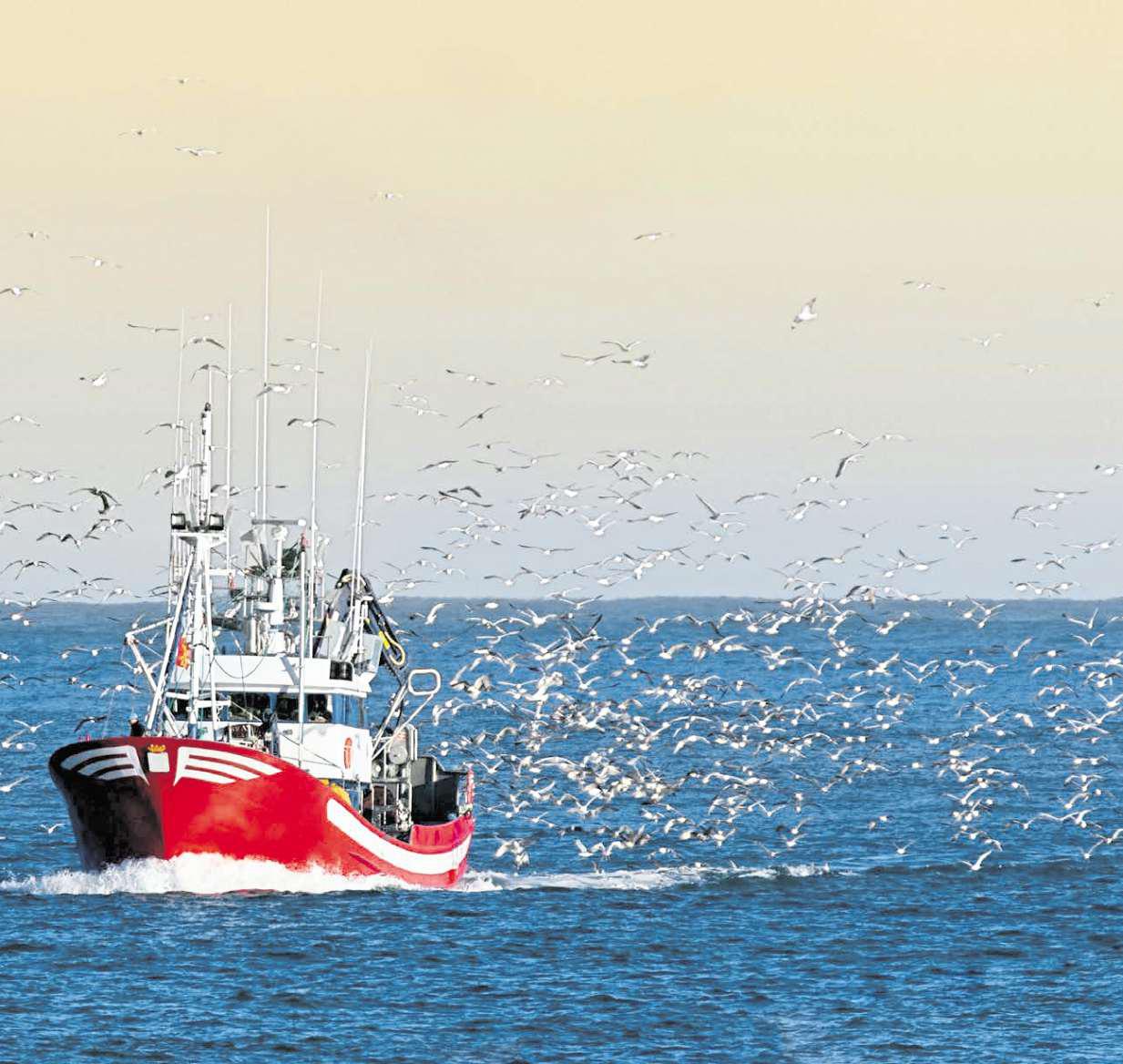 Rising cod cost could force chippies to shut up shop