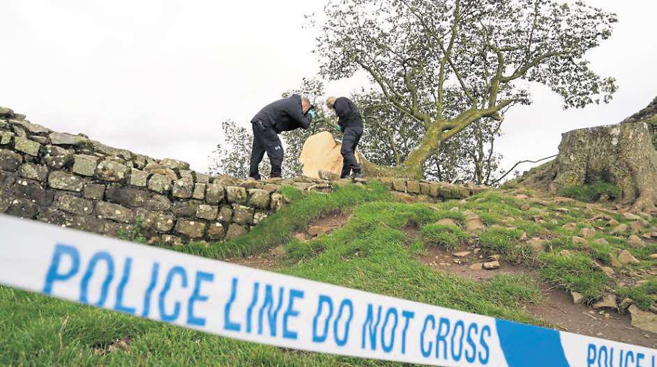 Night of mindless damage that stunned the nation