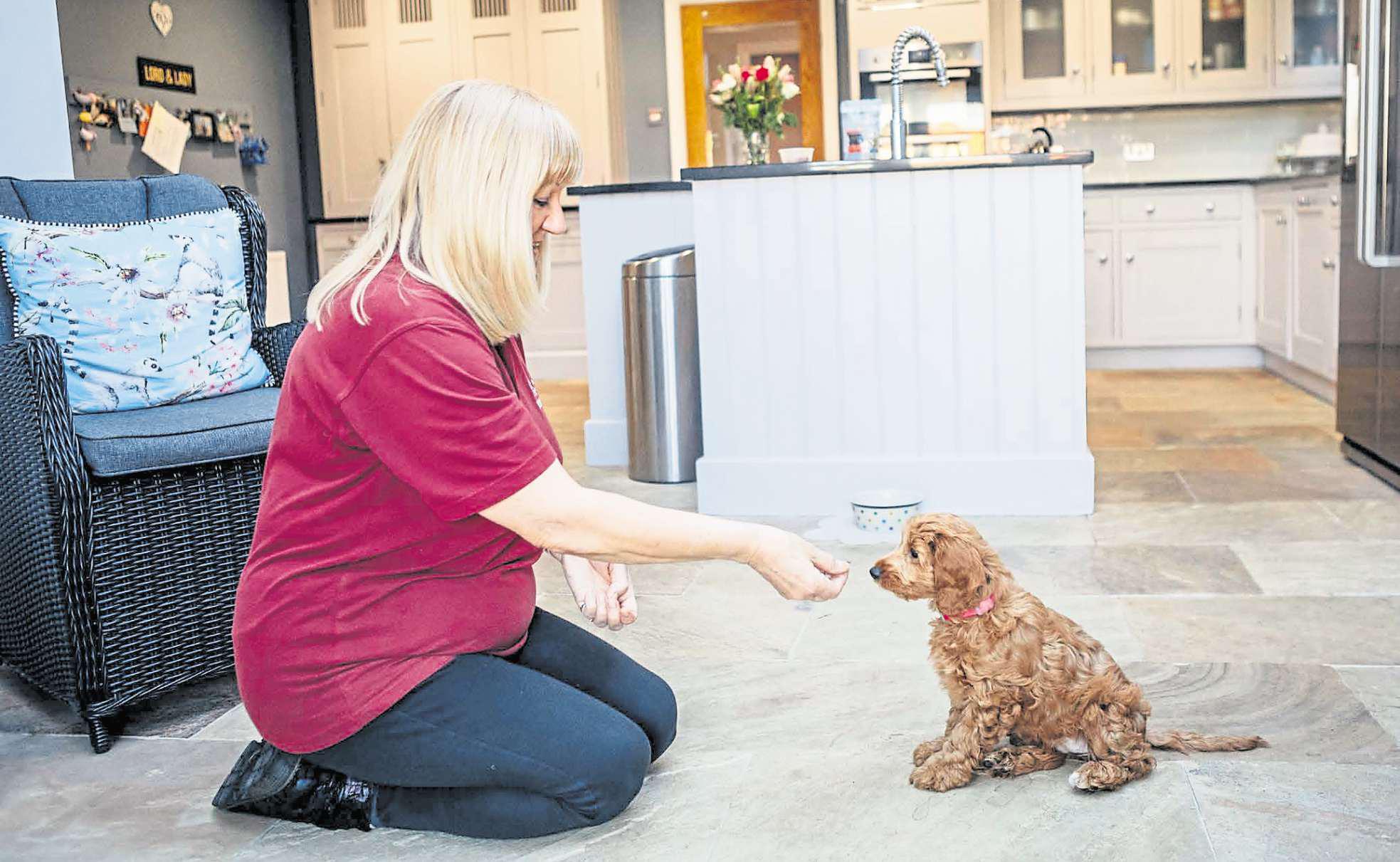 Volunteers being sniffed out for new hearing dog puppy recruits
