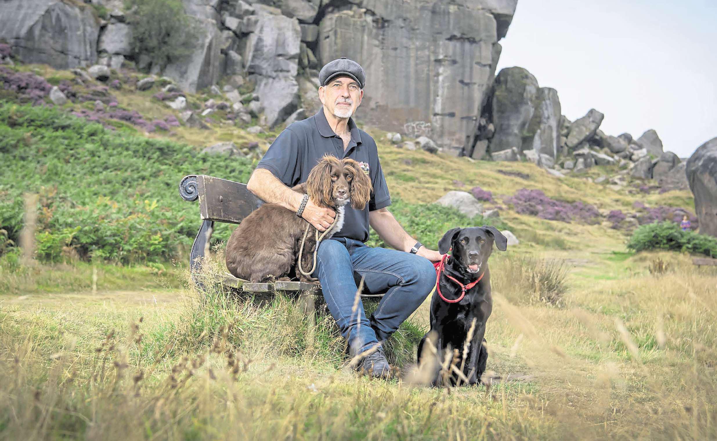 A true doggy soap opera