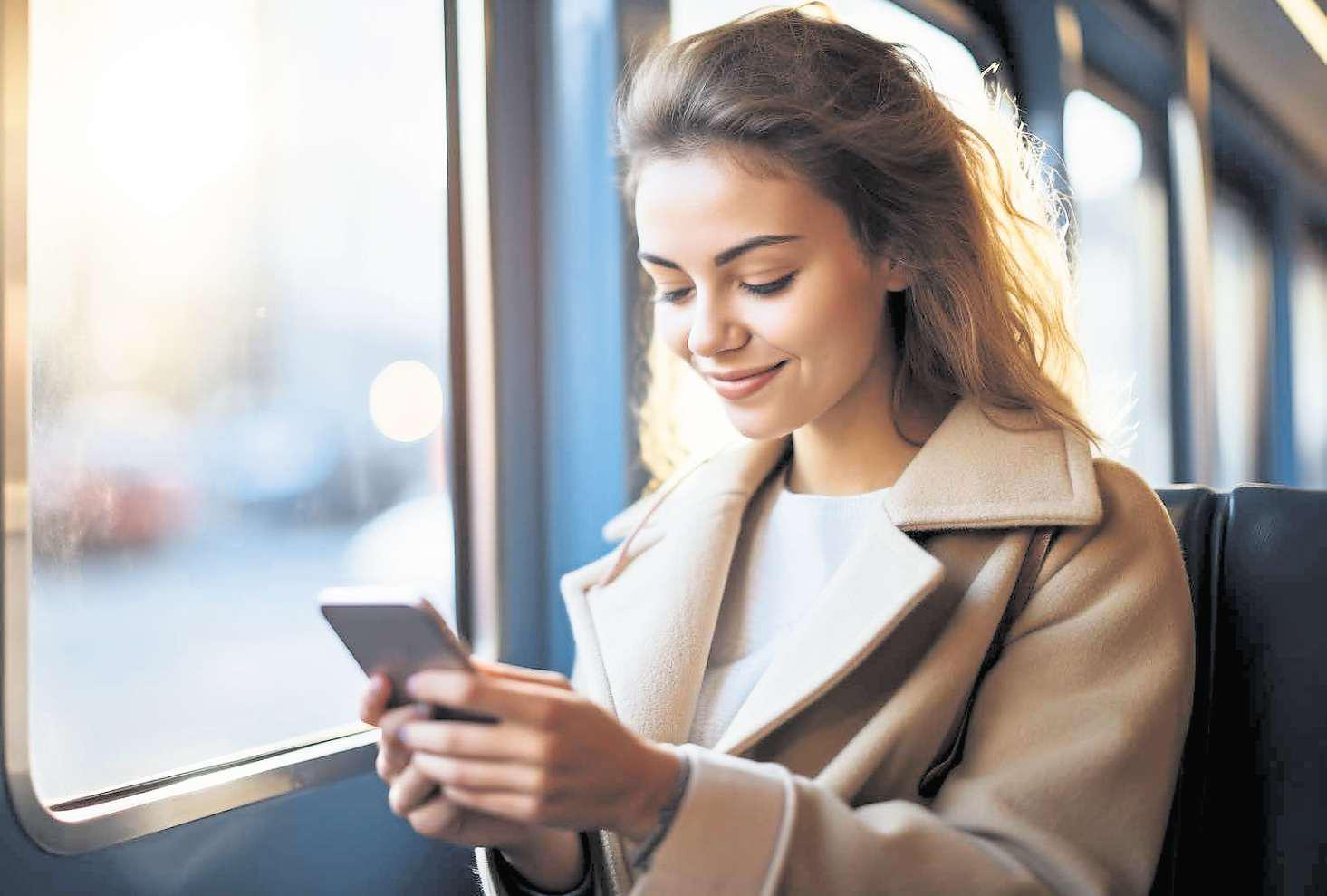 Where and when has the digital ID system been proposed before now?