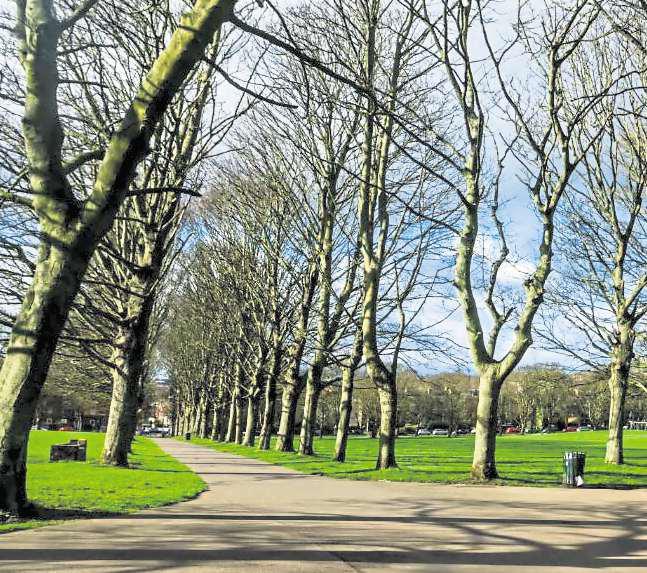 Three women assaulted in park by 'masked man'