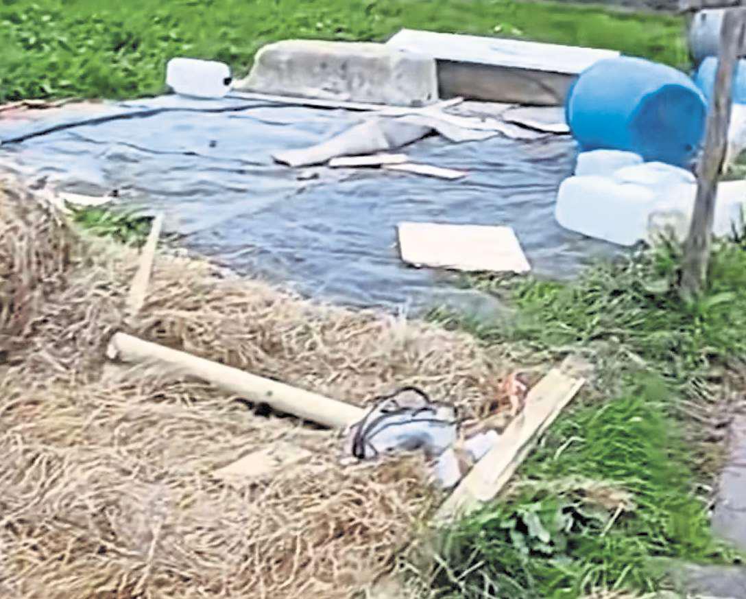 Sisters left devastated after rescue animals' stables stolen