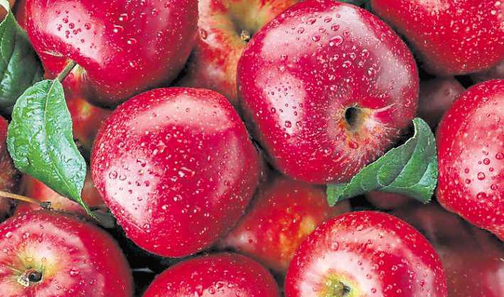 That's bob on – let's get to the core of our Apple Day