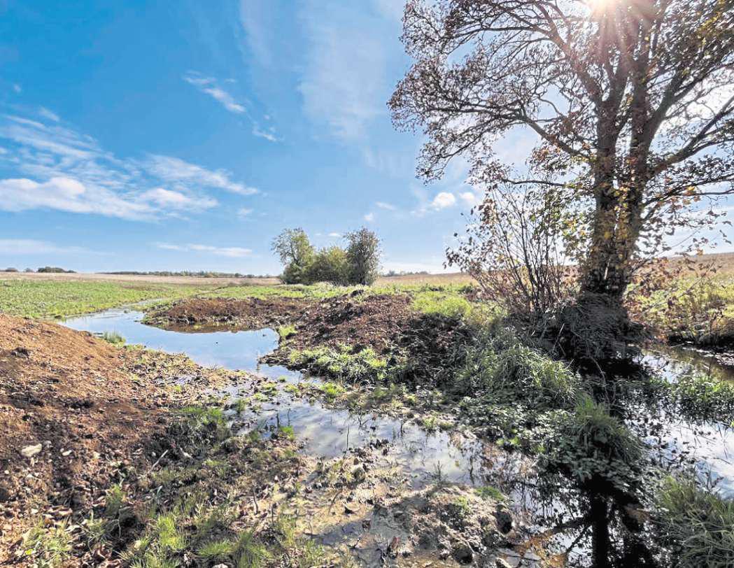 That's wild - farmland gets £11.8m makeover