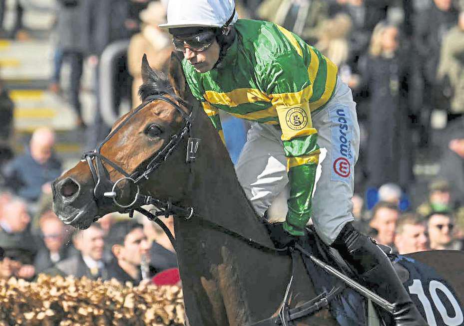 Twelve warring high-class entries set for Fighting Fifth